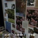 Kyo야 여권은 챙겼니