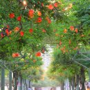 황명「분수·1」 이미지