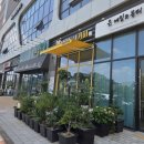 봉명동내커피 남악신도시점