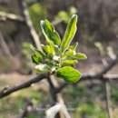 방동농장 이미지