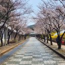2024-03-0065 - 부여군 | 2024-03-0065