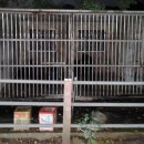 인삼송어장 이미지