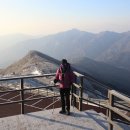 죽령휴게소 이미지