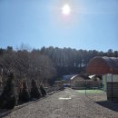 레인보우 | 서울 근교 포천 캠핑장 레인보우 캠핑장 추천 후기