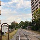 가경목장 맞은편  횡단보도 | 오타루 당일치기 코스, 저희는 이렇게 다녔습니다 [훗카이도 아기랑 여행 후기]