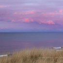 바람의말 | 바람의 말/마종기 시인