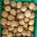 제주도 키위 못난이 5키로 3만원 주문받습니다 이미지