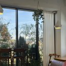 라라정원 누가페 | 충북 증평 교통대학교 맛집 : 라라정원 누가페