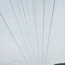 입곡군립공원(산림욕장) 이미지