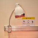 본데로정형외과의원 이미지