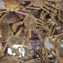 남경횟집 이미지