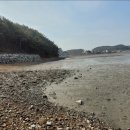 상동포도농원 | [안산]대부 해솔길 3코스 트레킹!!