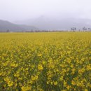 국수&카페 이미지