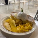 홍대 띵크프룻 - 홍대입구역 카페 수플레 맛집