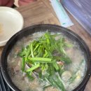 소요산막국수초계탕 | [동두천 맛집] 특허받은 보양식! 소요산막국수양삼계탕에서 동충하초 양삼계탕 &amp; 비빔막국수 몸보신 후기