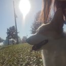 멍그니엘 이미지