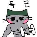 신월성카센터 이미지