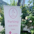 로즈 | 팔공산 감성카페 메종로즈 후기&amp;애프터눈티