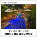 씨유 대전드림파크점 | 대전 장태산 근교 당일 키즈 풀빌라 펜션 파크오브드림 글램핑