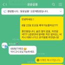 윤윤살롱