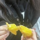 또또붕
