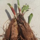 지연농장 이미지