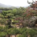 백년전통찻집 이미지