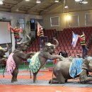 코지빌리지 이미지