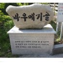 2016.05.07 양구 봉화산 산행 이미지