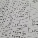 녹조식당 이미지