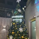 르메르디앙 서울 명동 | 서울 명동 르메르디앙 호텔 후기