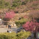 지리산 매화네 식품