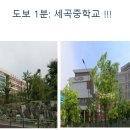 장지마을 앞 버스정류장 이미지