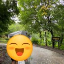 숲속의보아펜션 네이버블로그