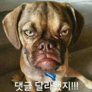 예궁 이미지