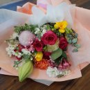 젤코바480 이미지