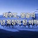 내정목장 | 제주도 몽골 직할지 100년의 비밀: 말의 고장이 된 진짜 이유