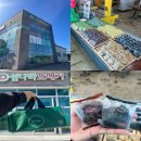 섬나라 - 고흥군 | 제주공항 근처 오메기떡 맛집 제주 섬나라오메기떡 후기