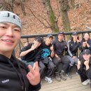 메이트 피티 이미지