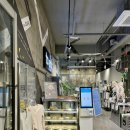 엑스머트 이미지