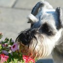 다목농장 이미지