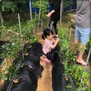 아담스레펜션 이미지