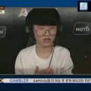 겜블러PC 이미지