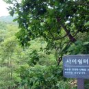 관악산 무장애숲길 이미지