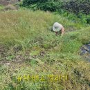 귀덕농장 이미지