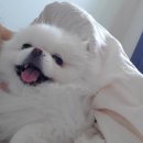 한신식당