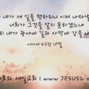 박해목장 이미지