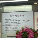 나능이능이버섯백숙(금호점) 이미지