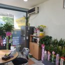 김욱환공인행정사사무소 이미지