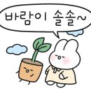 춘봉농장 이미지